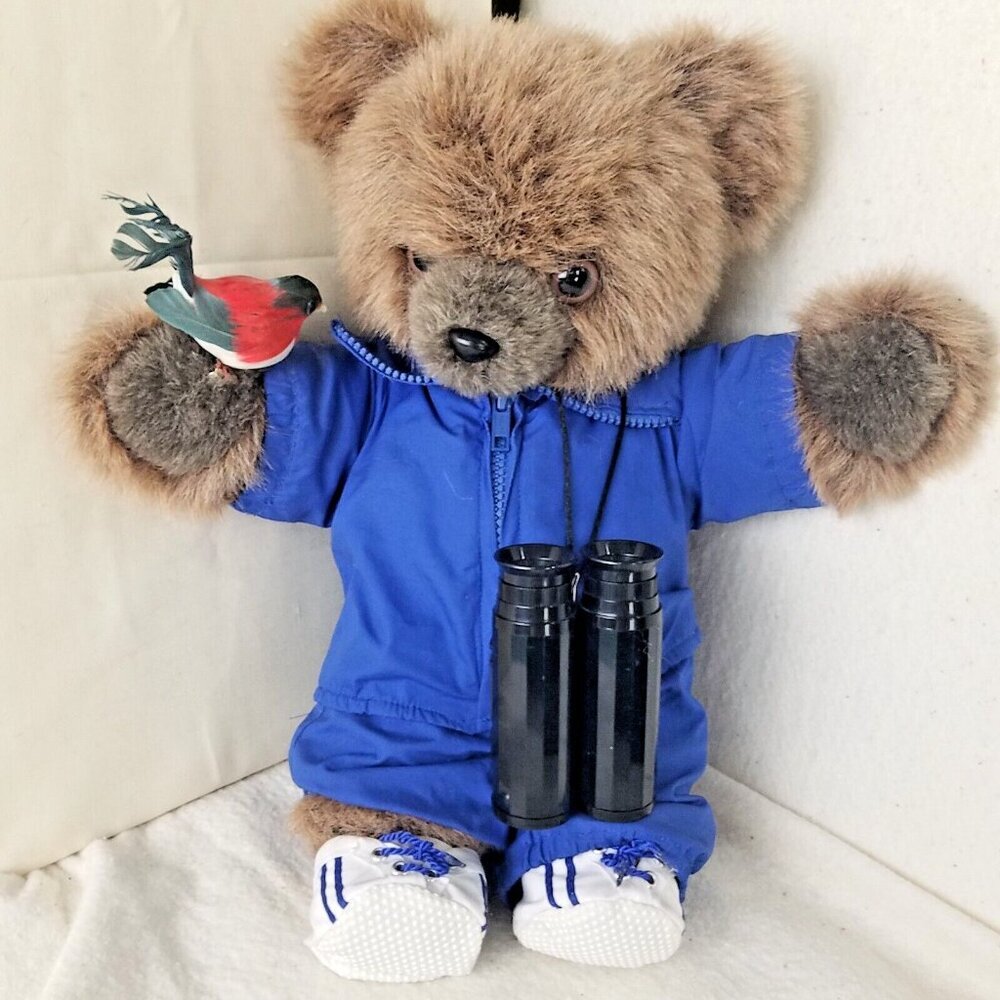 Teddy‎ bear plush tail bird watch outfit shoes blue joggers brown stuffed animal